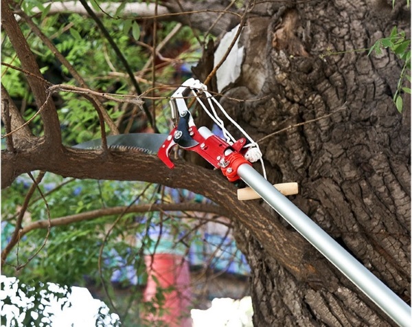 kéo cắt cành