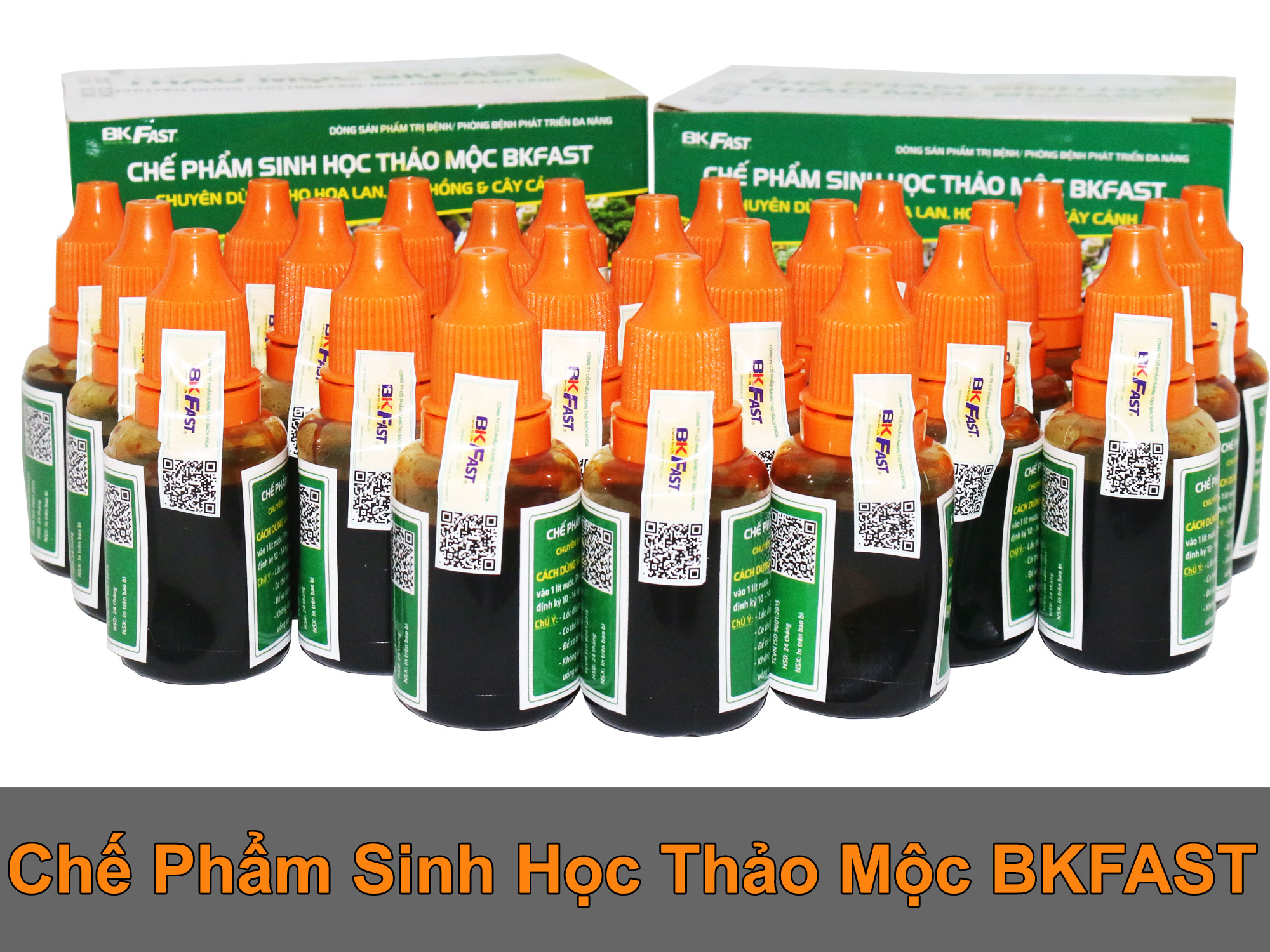 chế phẩm sinh học bkfast